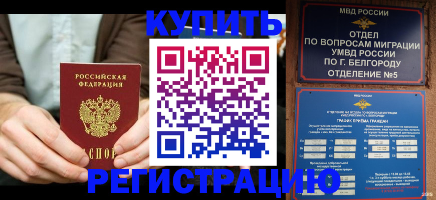 прописка 2025 в Воронежской области